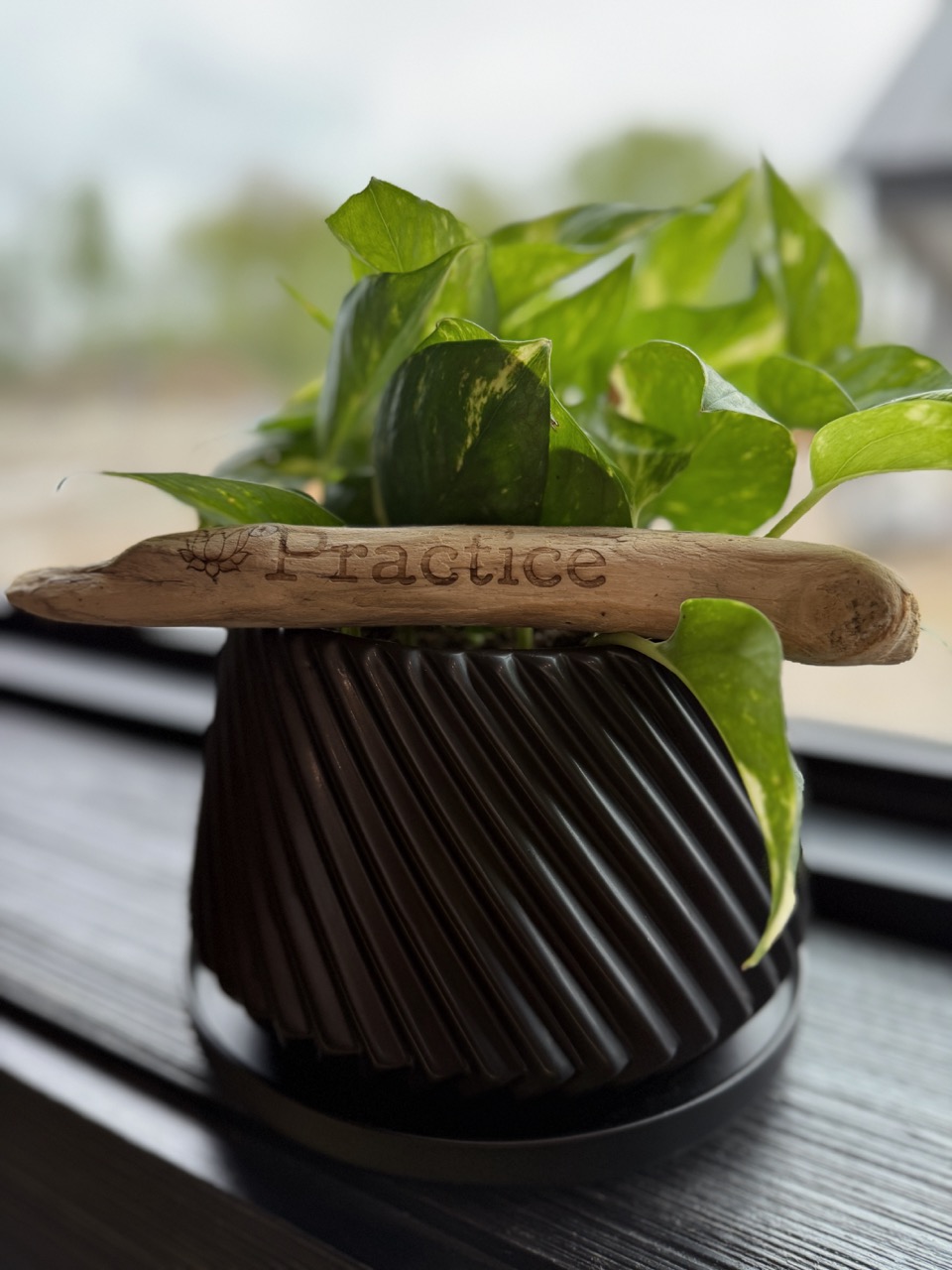 Practice Not Perfection Plant